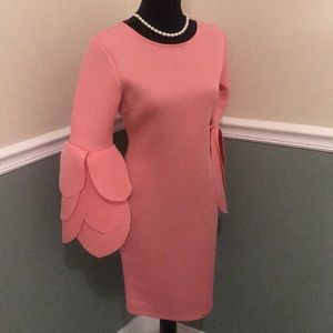 Pretty in Pink Petal Sleeved Dress